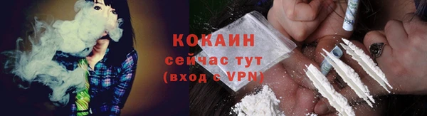 ГАЛЛЮЦИНОГЕННЫЕ ГРИБЫ Лагань