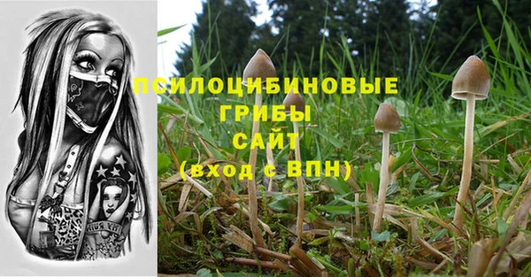 меф Ладушкин