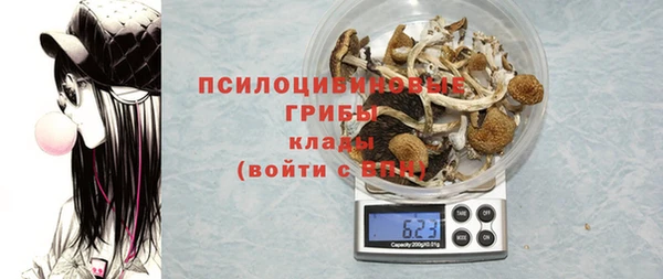 a pvp Алзамай
