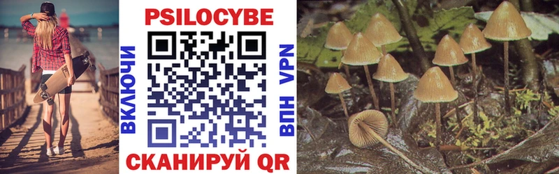 Псилоцибиновые грибы Psilocybe  Волгоград 