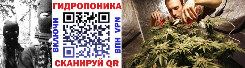 Конопля SATIVA & INDICA Волгоград
